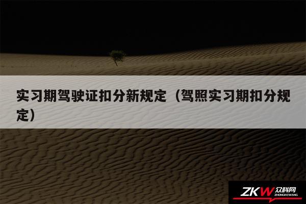 实习期驾驶证扣分新规定以及驾照实习期扣分规定