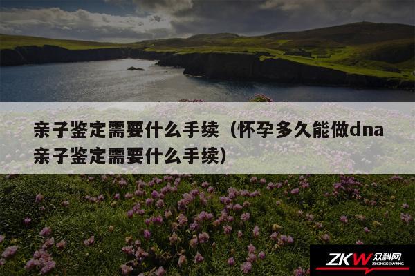 亲子鉴定需要什么手续以及怀孕多久能做dna亲子鉴定需要什么手续