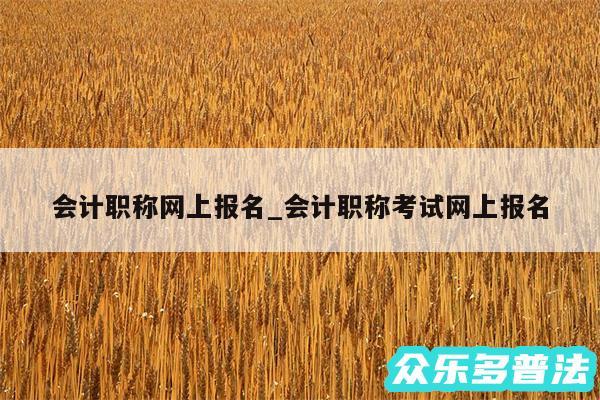 会计职称网上报名_会计职称考试网上报名