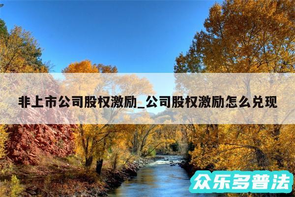 非上市公司股权激励_公司股权激励怎么兑现
