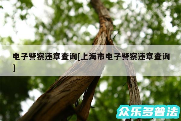 电子警察违章查询及上海市电子警察违章查询