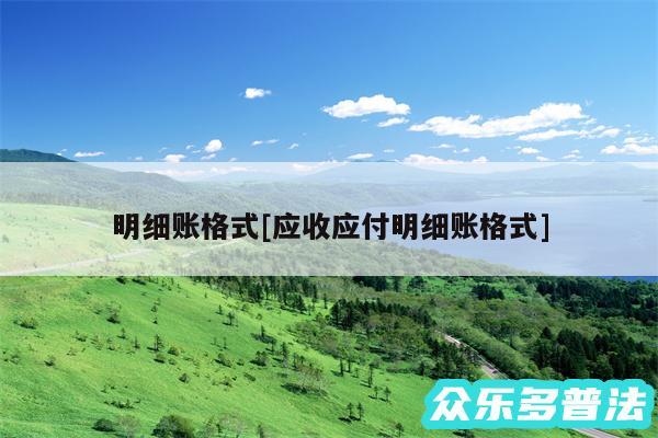 明细账格式及应收应付明细账格式