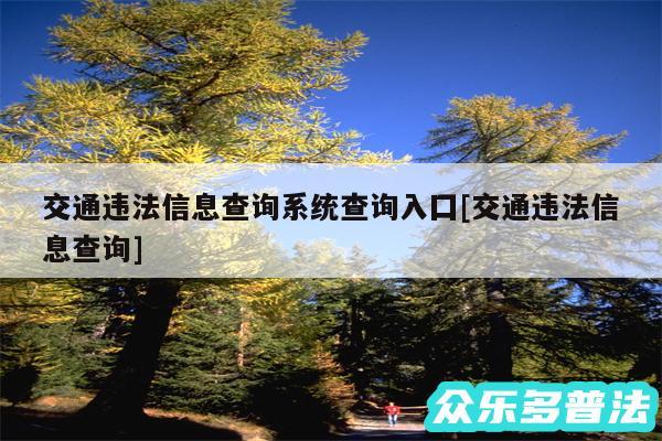 交通违法信息查询系统查询入囗及交通违法信息查询