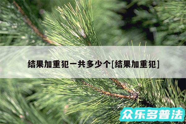 结果加重犯一共多少个及结果加重犯