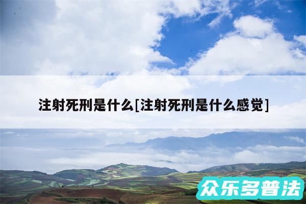 注射死刑是什么及注射死刑是什么感觉