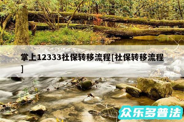 掌上12333社保转移流程及社保转移流程