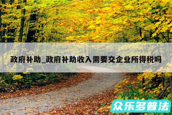 政府补助_政府补助收入需要交企业所得税吗