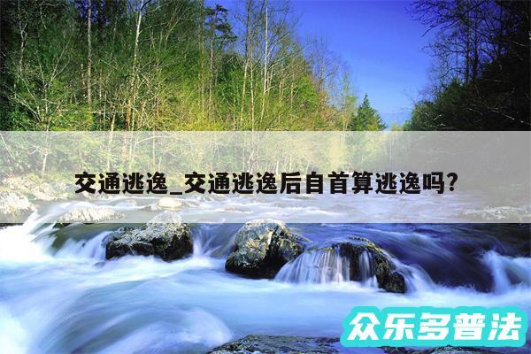 交通逃逸_交通逃逸后自首算逃逸吗?