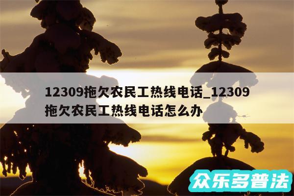 12309拖欠农民工热线电话_12309拖欠农民工热线电话怎么办