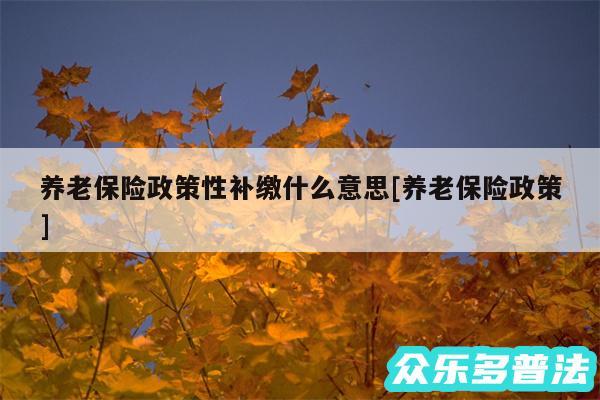 养老保险政策性补缴什么意思及养老保险政策