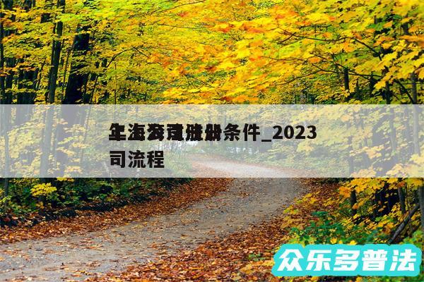 上海公司注册条件_2024
年上海注册公司流程