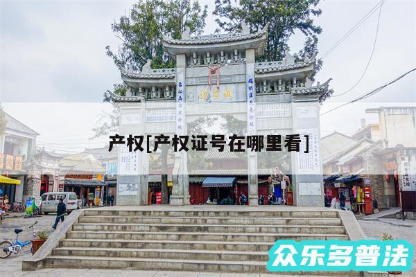 产权及产权证号在哪里看