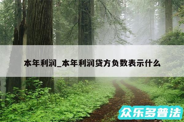 本年利润_本年利润贷方负数表示什么