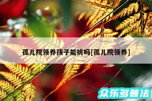 孤儿院领养孩子能挑吗及孤儿院领养