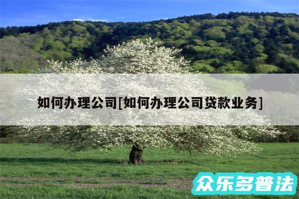 如何办理公司及如何办理公司贷款业务