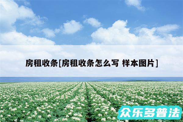 房租收条及房租收条怎么写 样本图片