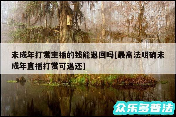 未成年打赏主播的钱能退回吗及最高法明确未成年直播打赏可退还