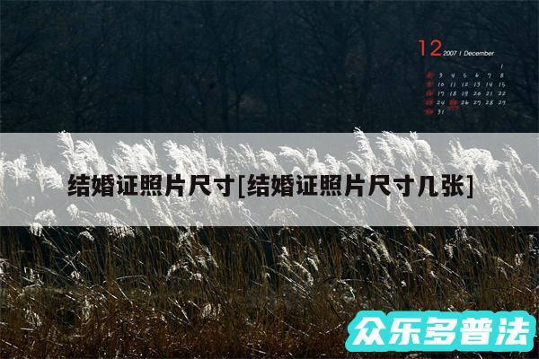 结婚证照片尺寸及结婚证照片尺寸几张