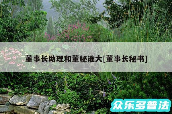 董事长助理和董秘谁大及董事长秘书