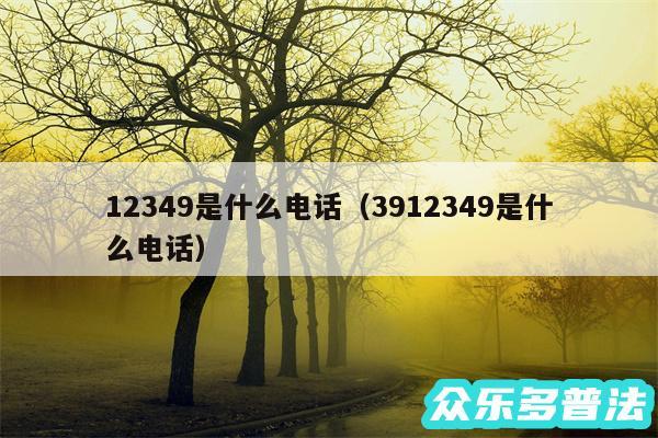 12349是什么电话以及3912349是什么电话