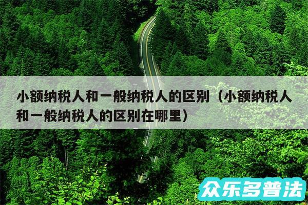 小额纳税人和一般纳税人的区别以及小额纳税人和一般纳税人的区别在哪里