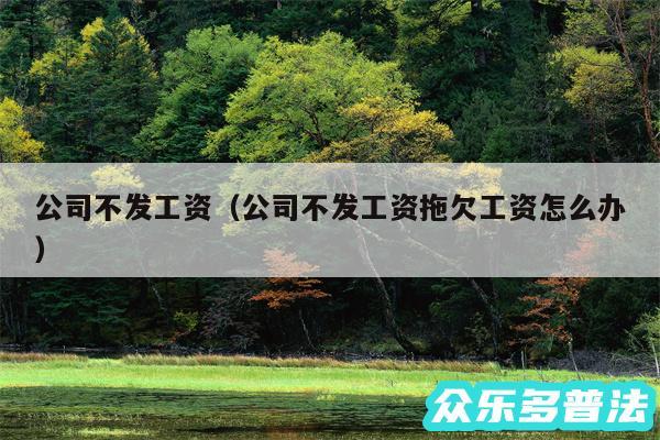 公司不发工资以及公司不发工资拖欠工资怎么办