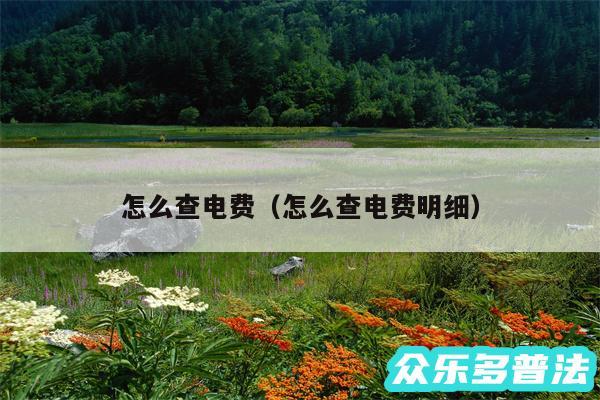 怎么查电费以及怎么查电费明细