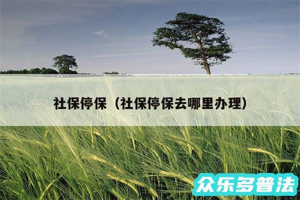 社保停保以及社保停保去哪里办理