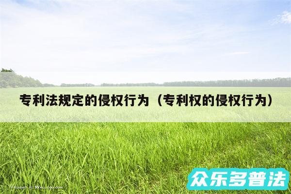 专利法规定的侵权行为以及专利权的侵权行为
