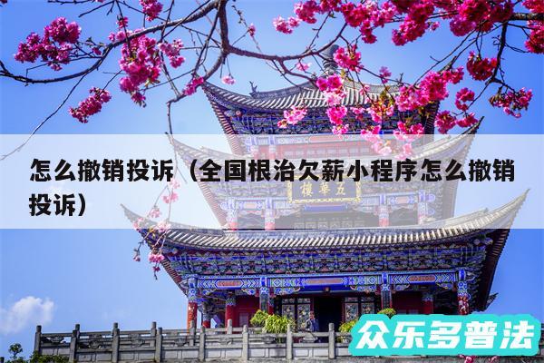 怎么撤销投诉以及全国根治欠薪小程序怎么撤销投诉
