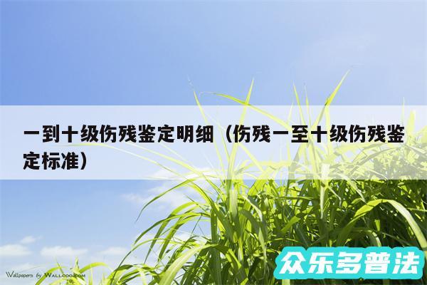一到十级伤残鉴定明细以及伤残一至十级伤残鉴定标准