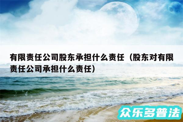 有限责任公司股东承担什么责任以及股东对有限责任公司承担什么责任