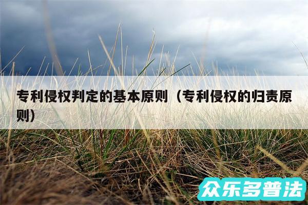 专利侵权判定的基本原则以及专利侵权的归责原则