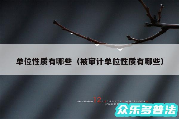 单位性质有哪些以及被审计单位性质有哪些