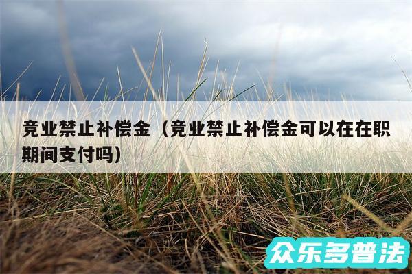 竞业禁止补偿金以及竞业禁止补偿金可以在在职期间支付吗