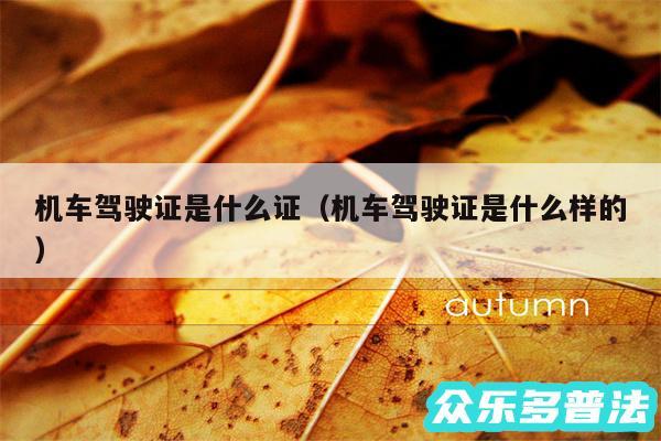 机车驾驶证是什么证以及机车驾驶证是什么样的