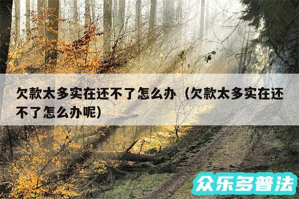 欠款太多实在还不了怎么办以及欠款太多实在还不了怎么办呢