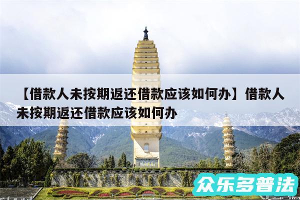 借款人未按期返还借款应该如何办还有借款人未按期返还借款应该如何办
