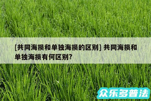 及共同海损和单独海损的区别 共同海损和单独海损有何区别?