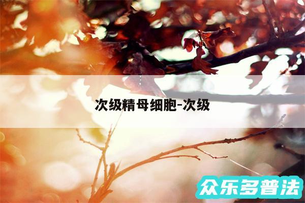 次级精母细胞-次级