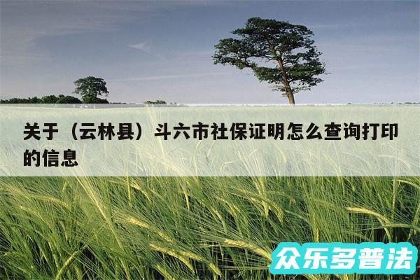 关于以及云林县斗六市社保证明怎么查询打印的信息