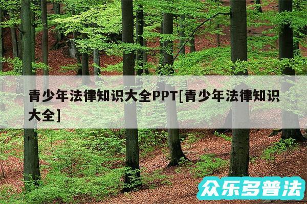 青少年法律知识大全PPT及青少年法律知识大全