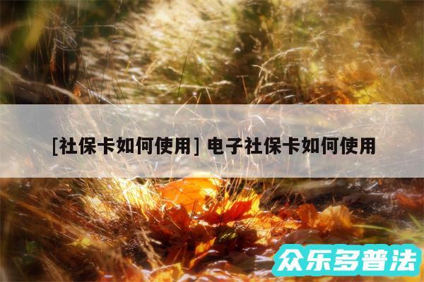 及社保卡如何使用 电子社保卡如何使用