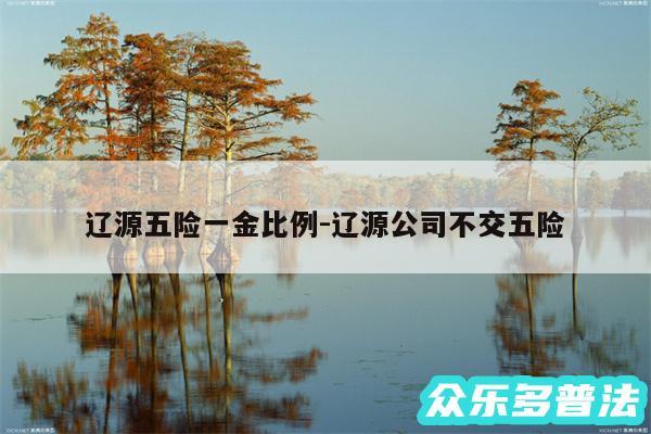 辽源五险一金比例-辽源公司不交五险
