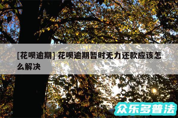 及花呗逾期 花呗逾期暂时无力还款应该怎么解决