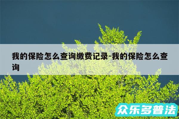 我的保险怎么查询缴费记录-我的保险怎么查询