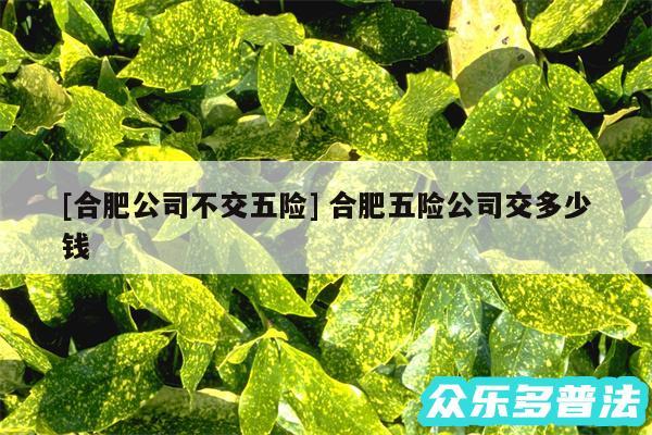 及合肥公司不交五险 合肥五险公司交多少钱