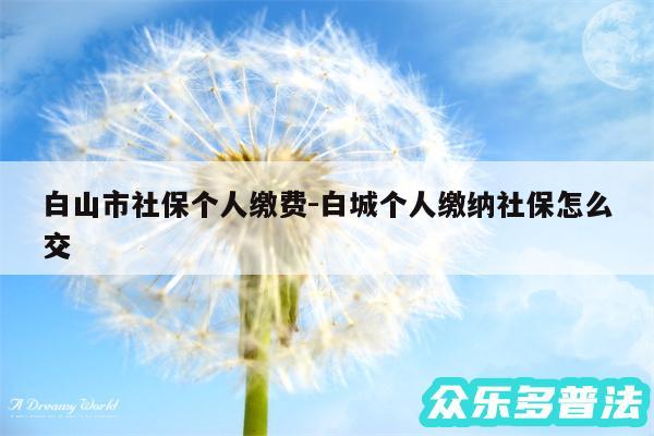 白山市社保个人缴费-白城个人缴纳社保怎么交