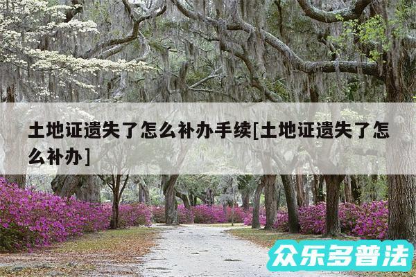 土地证遗失了怎么补办手续及土地证遗失了怎么补办