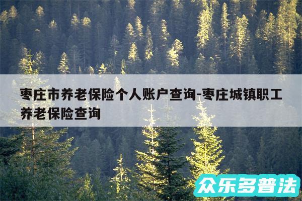 枣庄市养老保险个人账户查询-枣庄城镇职工养老保险查询
